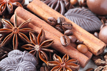 Anise, cinnamon, chocolate and coffee beans