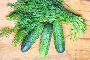 bunch fresh dill and cucumbers on wooden table