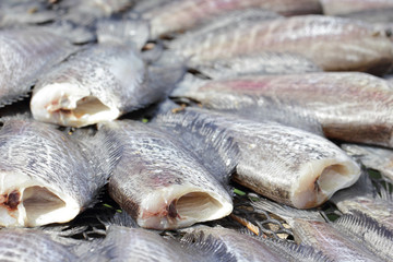 Snakeskin gourami fish drying in the outside