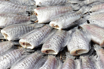 Snakeskin gourami fish drying in the outside