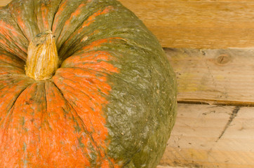 Pumpkin