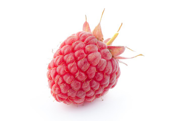 Red ripe raspberry on white background