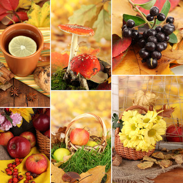 Collage of autumn