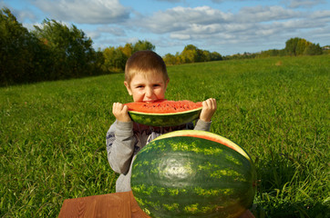 Smiling little boy eating watermelon