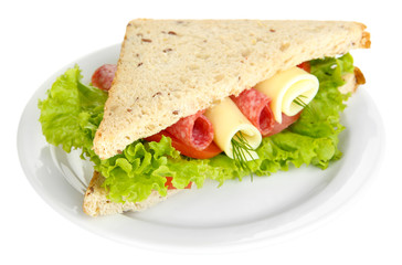 Tasty sandwich with salami sausage and vegetables