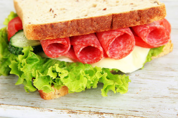 Tasty sandwich with salami sausage and vegetables