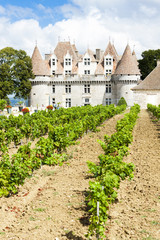 Fototapeta na wymiar Monbazillac Castle with vineyard, Aquitaine, France