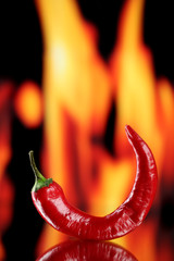 Red hot chili pepper on fire background