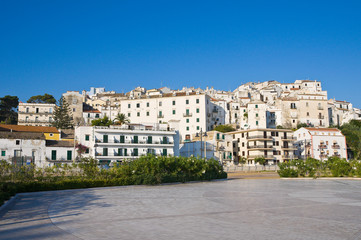 Naklejka premium Panoramic view of Rodi Garganico. Puglia. Italy.