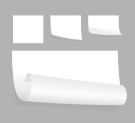 white adhesive papers
