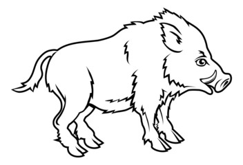 Obraz na płótnie Canvas Stylised boar illustration