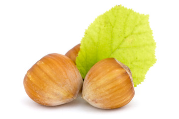 Hazelnuts with leaf