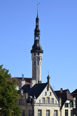 Altstadt mit Rathausturm, Tallin