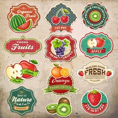 Collection of vintage retro grunge fresh fruit design elements