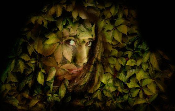 Portrait der Waldfee