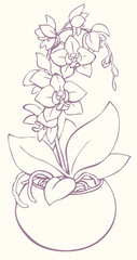 Vector outline drawing. Flowering branch of orchid in a vase
