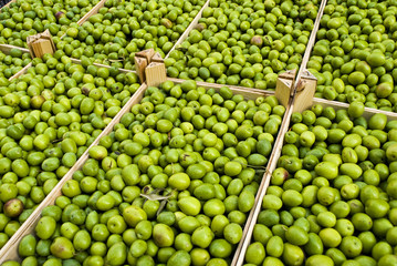 green olives