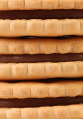 Sandwich biscuits with chocolate cream.