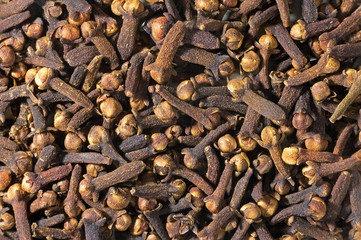 background of dried clove spice
