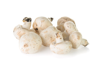Freshly picked white Button Mushrooms on a white background