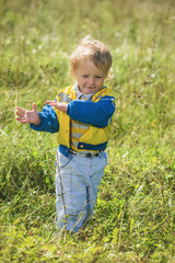 The cheerful little boy on a glade