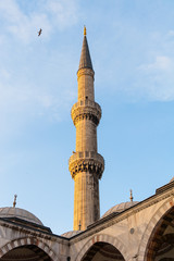 Fototapeta na wymiar The Blue Mosque at Dusk in Istanbul