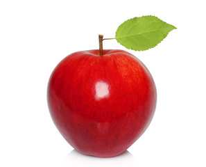 Red apple on white background .