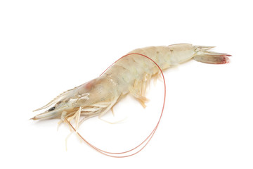 Raw Prawn on white background