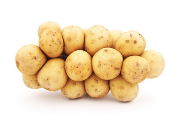 longkong isolated on white background