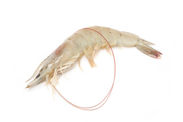 Raw Prawn on white background