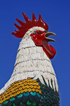 horoz