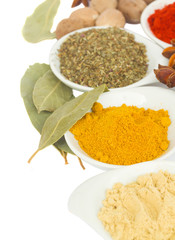 set of spices close up