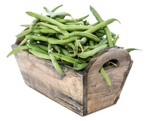 Green Beans (isolated)