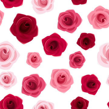 Fototapeta Bezszwowe tło z czerwone i różowe róże. Ilustracji wektorowych