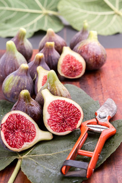 Figs and secateurs