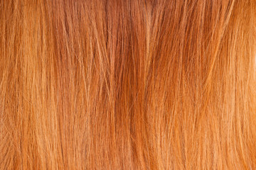 Background of bright red natural hair
