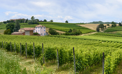 Monferrato (Italy)