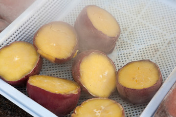 蒸したサツマイモ