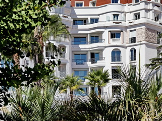 Fototapeta na wymiar Villa avec palmiers et ciel bleu