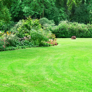 summer park