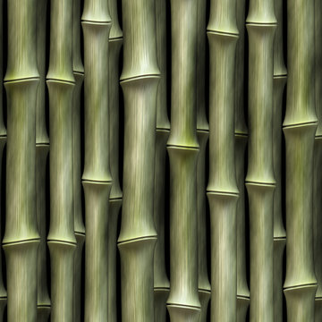 Bamboo Background Texture
