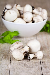 fresh champignons with parsley in a bowl