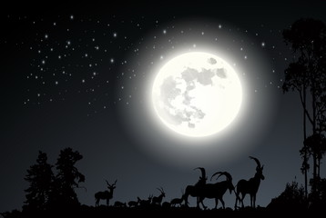 Fototapeta na wymiar Deer on the moonlight Landscape background vector