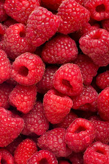 Ripe rasberry fruit horizontal close up background.