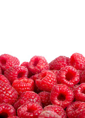 Ripe raspberries fruit background. Іsolated on white