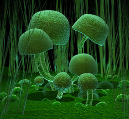 Green mushrooms © neurostructure