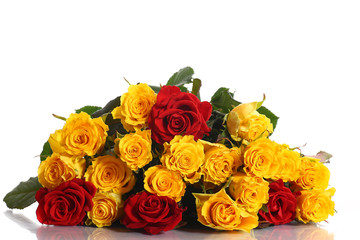 yellow and red roses