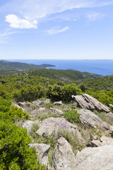 Route des Cretes, south of France