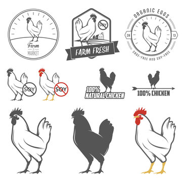 Set of vintage chicken meat labels and design elements