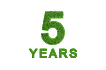 5 Year eco-friendly anniversary celebration